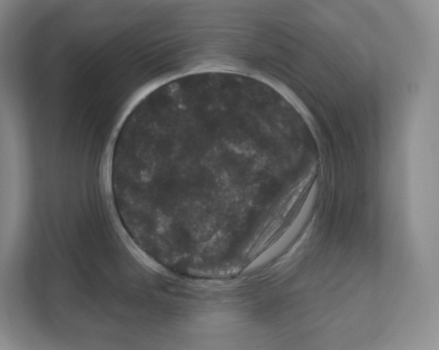 X0000111191246200907291157