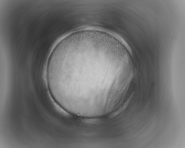 X0000111191247200907291157