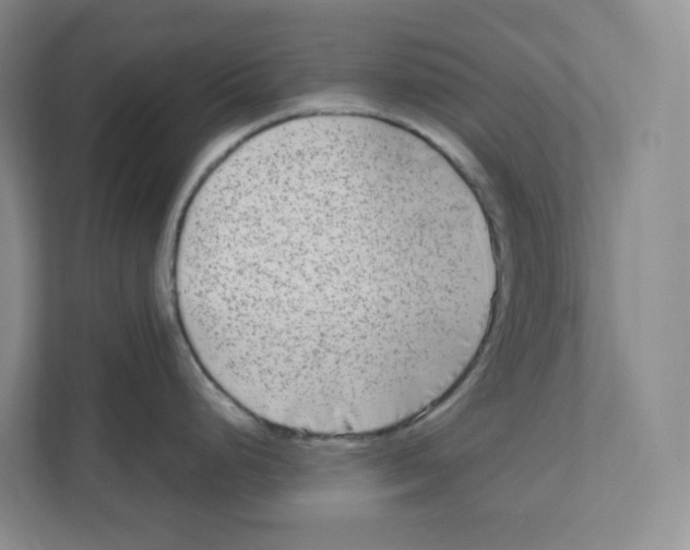 X0000111191248200907291157