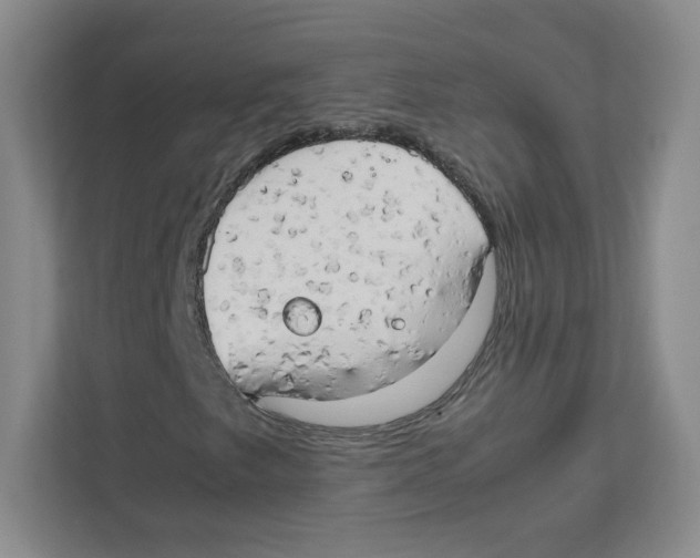 X0000111191249200907291156