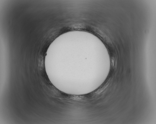 X0000111191251200907291156