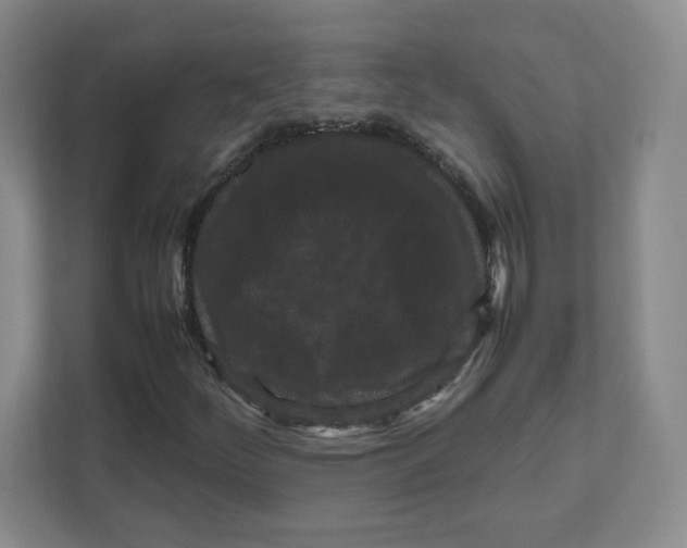 X0000111191252200907291156