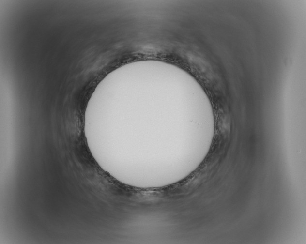 X0000111191253200907291156
