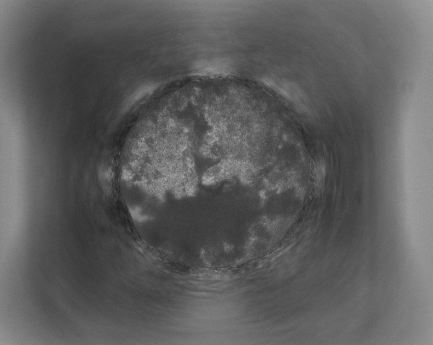 X0000111191254200907291156
