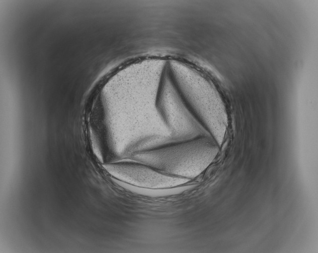 X0000111191256200907291156