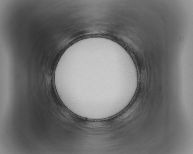 X0000111191257200907291156
