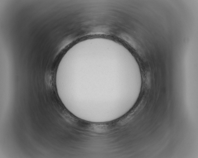 X0000111191258200907291156