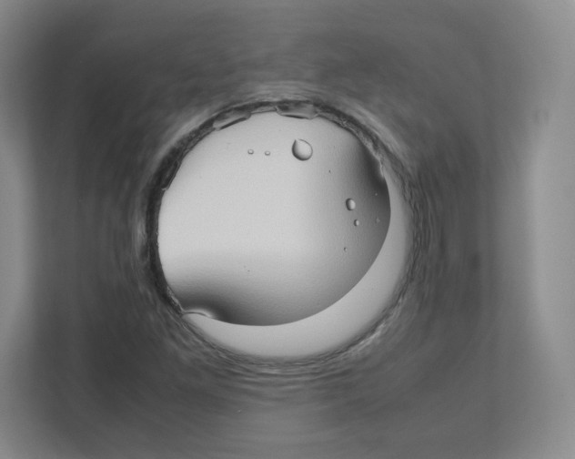 X0000111191261200907291156