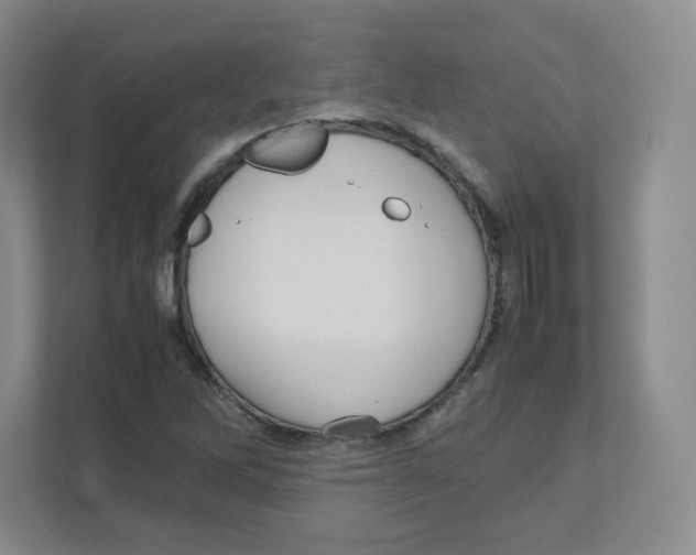 X0000111191262200907291156