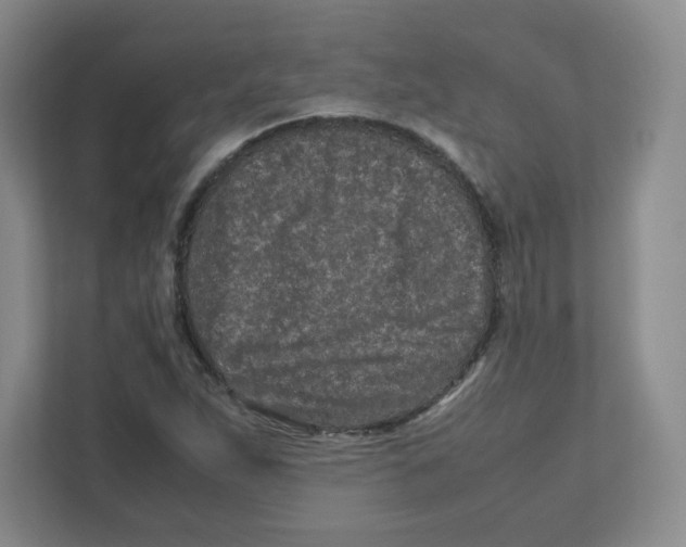X0000111191263200907291156