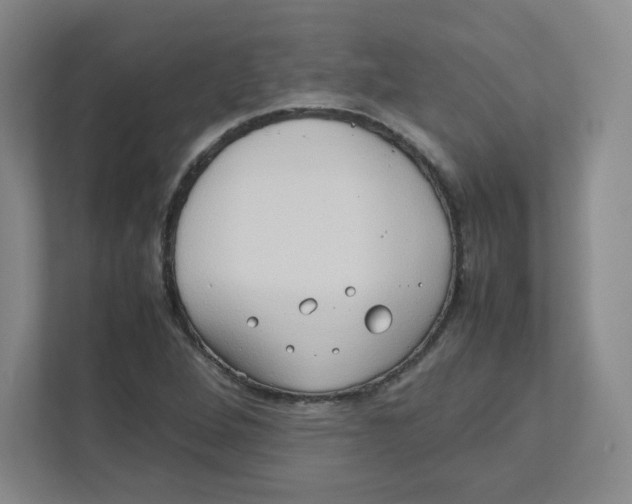 X0000111191264200907291156
