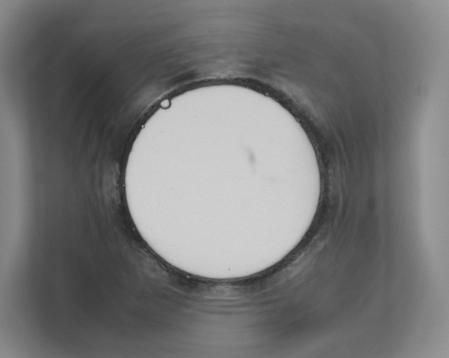 X0000111191265200907291156