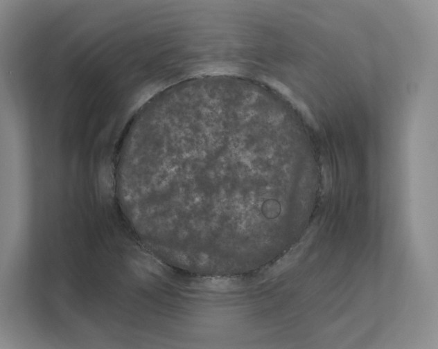 X0000111191266200907291156