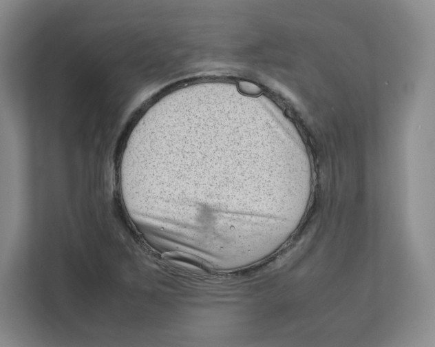 X0000111191267200907291156