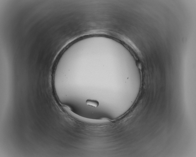 X0000111191268200907291156