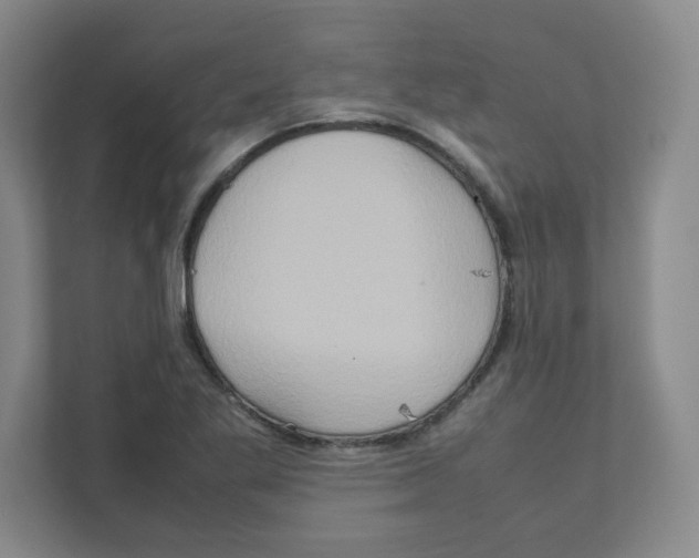 X0000111191269200907291156