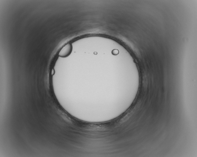 X0000111191270200907291156