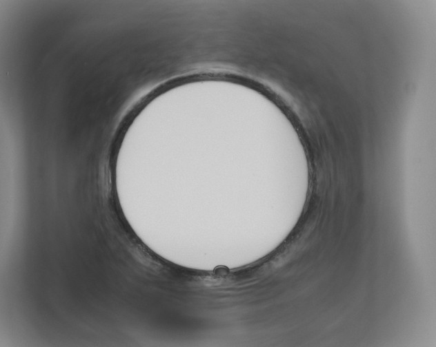 X0000111191271200907291156