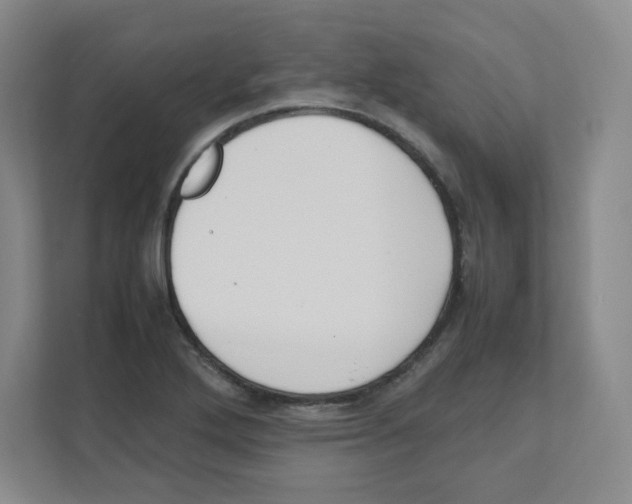 X0000111191272200907291156