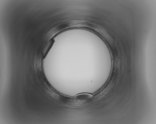 X0000111191273200907291156