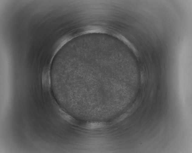 X0000111191274200907291156