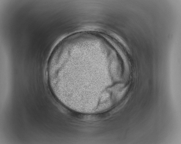 X0000111191275200907291156
