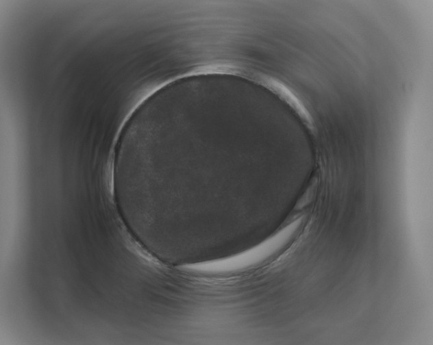 X0000111191276200907291156