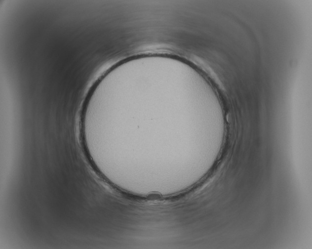 X0000111191277200907291156