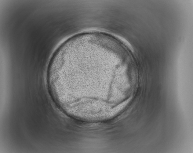 X0000111191279200907291156