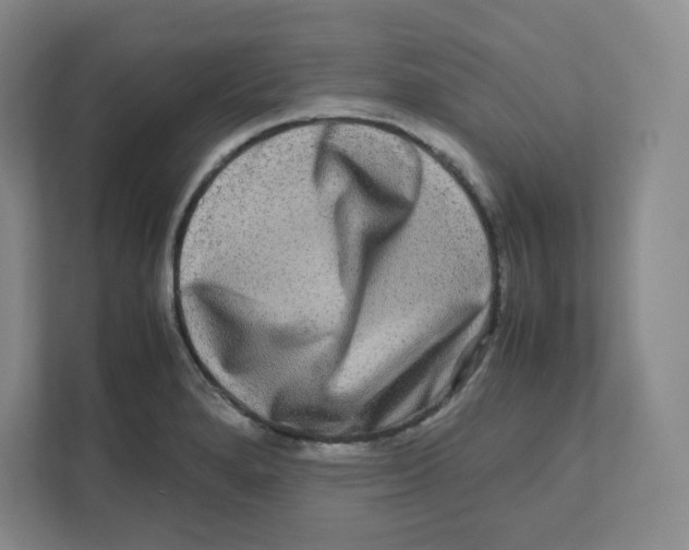 X0000111191280200907291156