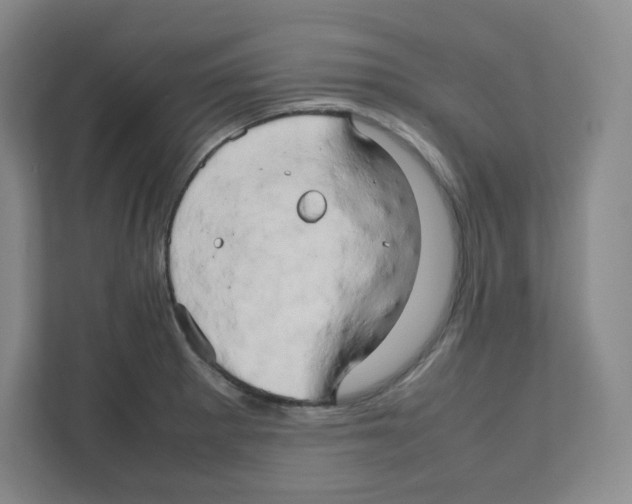 X0000111191281200907291156