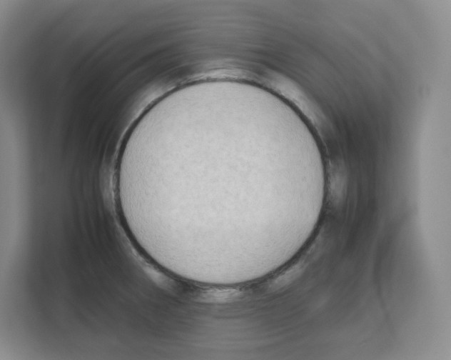 X0000111191282200907291156