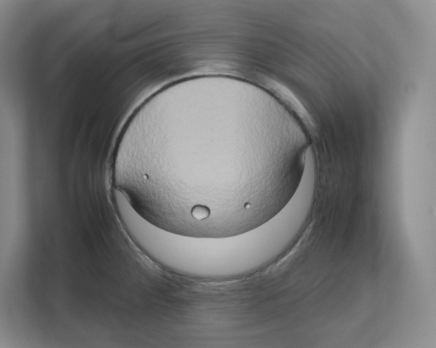 X0000111191284200907291156