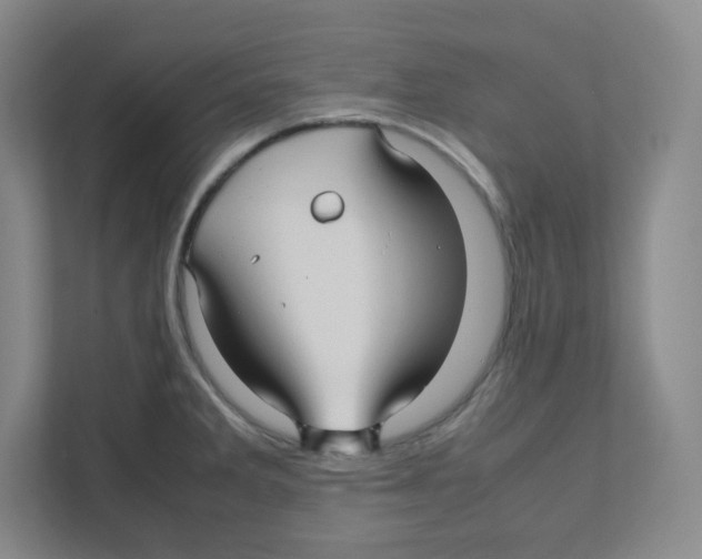 X0000111191285200907291156