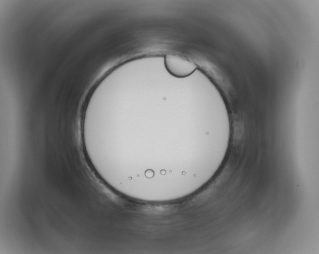 X0000111191286200907291156