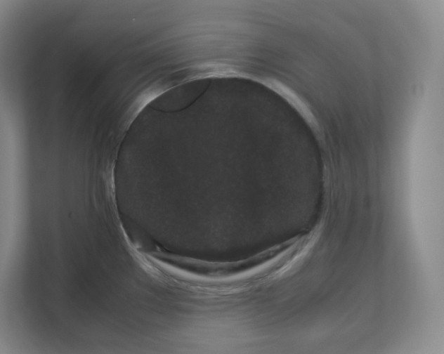 X0000111191289200907291156