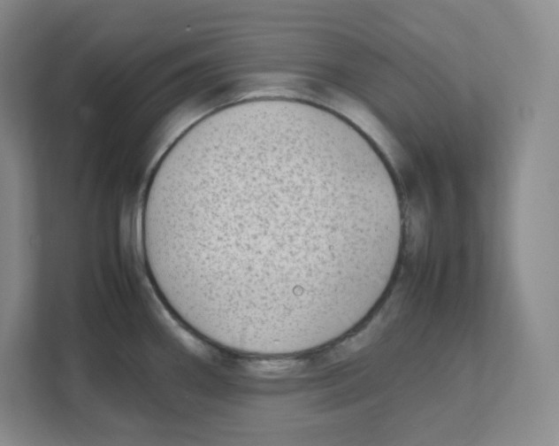 X0000111191290200907291156