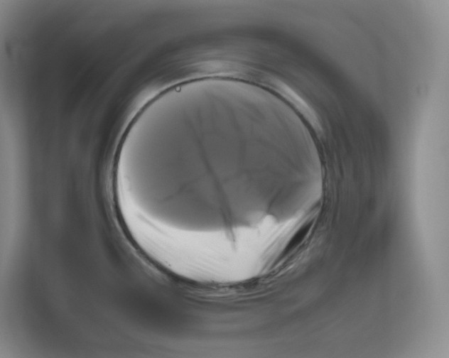 X0000111191291200907291156