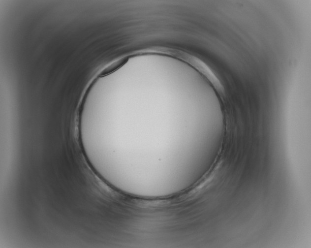 X0000111191292200907291156
