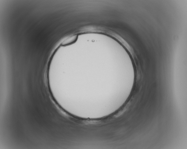 X0000111191293200907291156