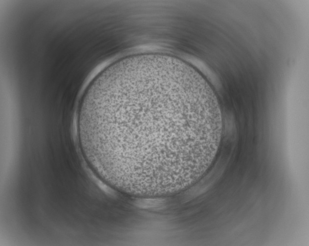 X0000111191294200907291156