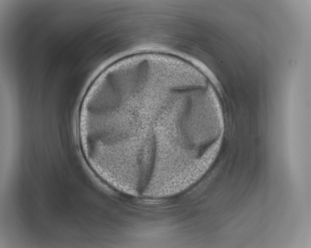 X0000111191295200907291156