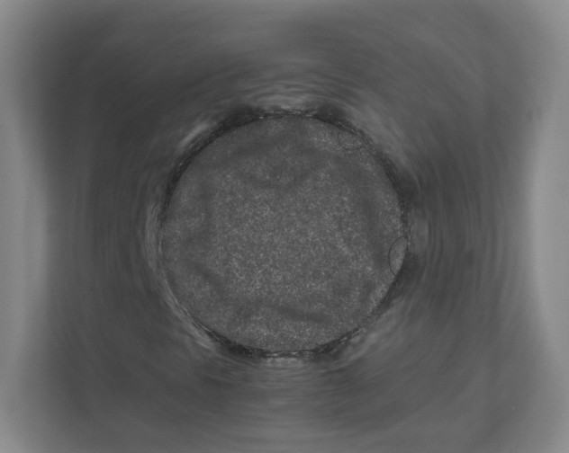 X0000111191297200907291155