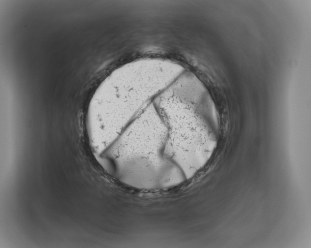 X0000111191301200907291155