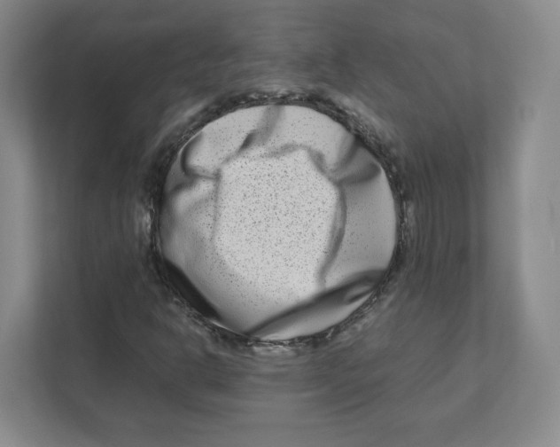 X0000111191302200907291155