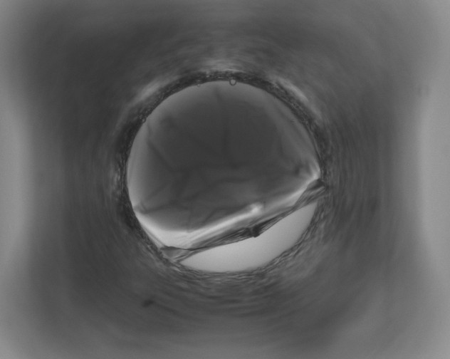 X0000111191303200907291155