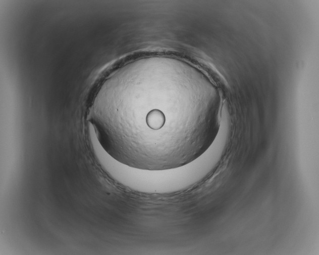 X0000111191304200907291155