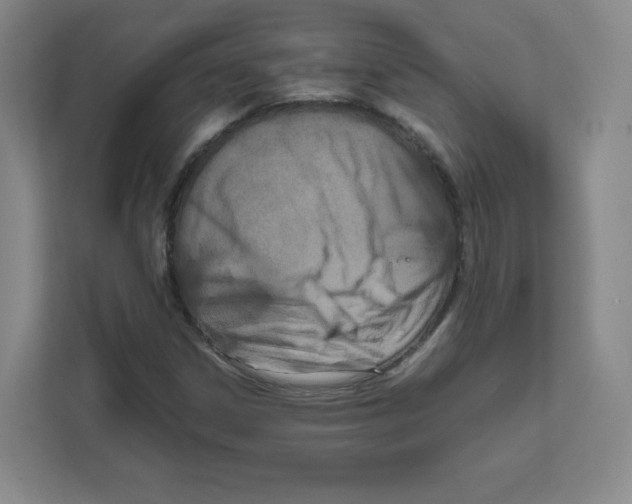 X0000111191306200907291155