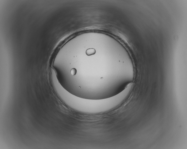 X0000111191308200907291155