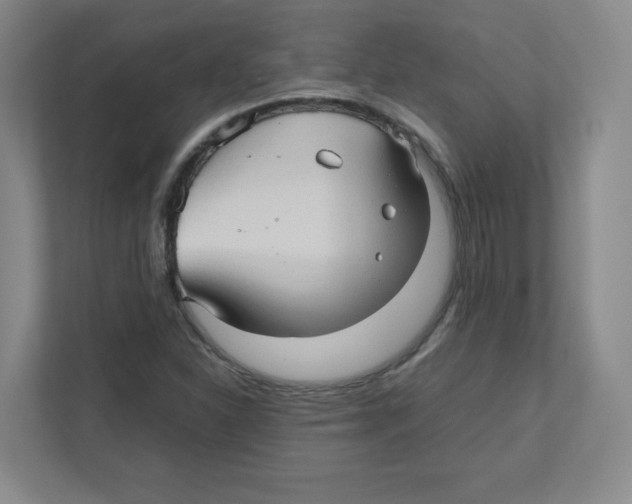 X0000111191310200907291155